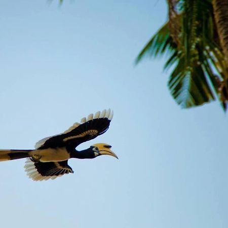Baan Anattaya Koh Yao Noi B&B 외부 사진